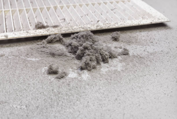Best HVAC System Cleaning  in Savoy, IL