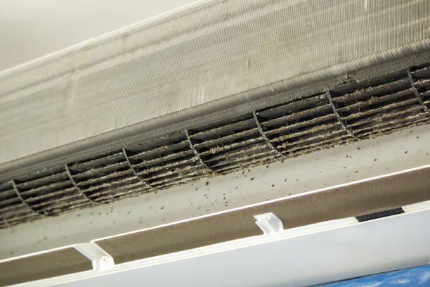 Best Air Duct Cleaning Cost  in Savoy, IL